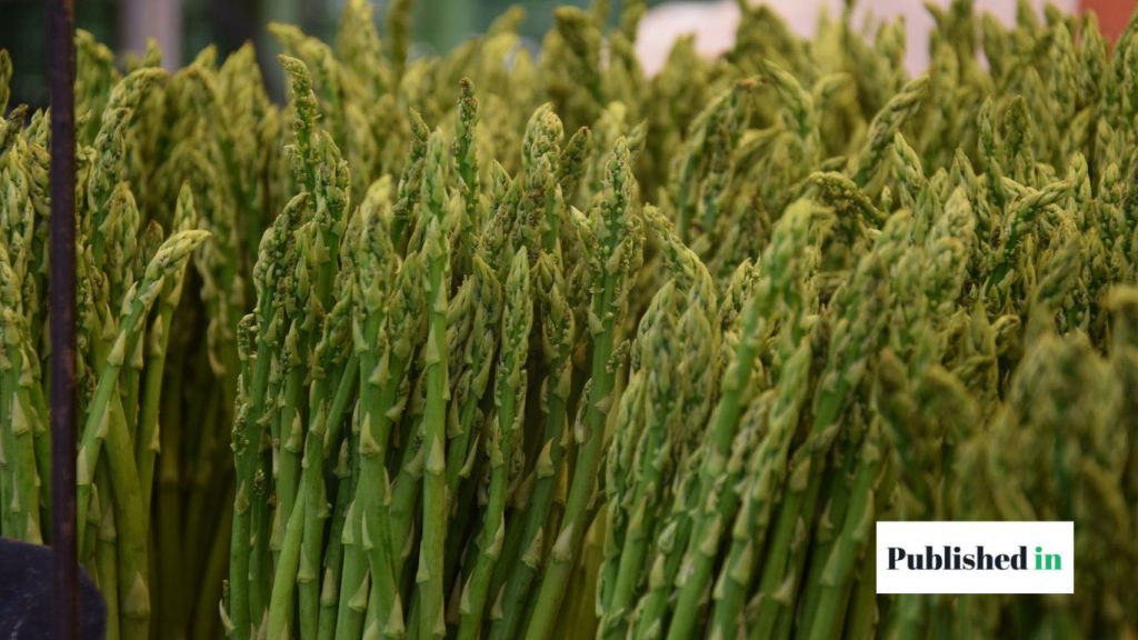 How to Grow Asparagus in Florida 
