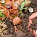 Remove Compost from Your Bin