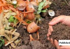 Remove Compost from Your Bin