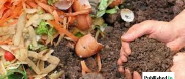 Remove Compost from Your Bin