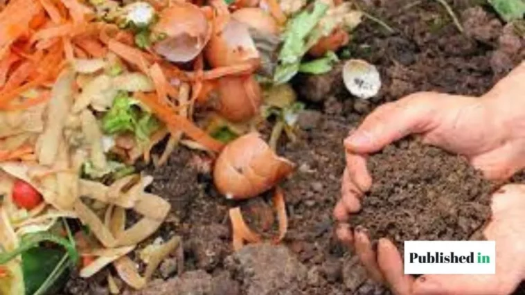 Remove Compost from Your Bin