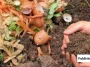 Remove Compost from Your Bin