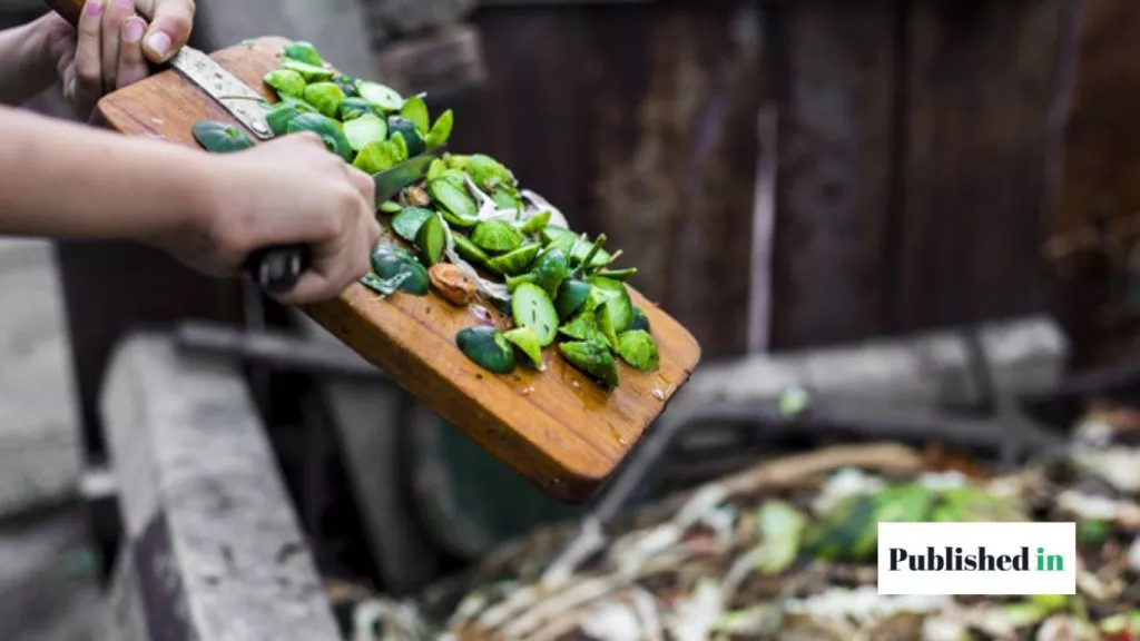 Remove Compost from Your Bin