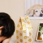 Things Your Deceased Pet Wants You to Know