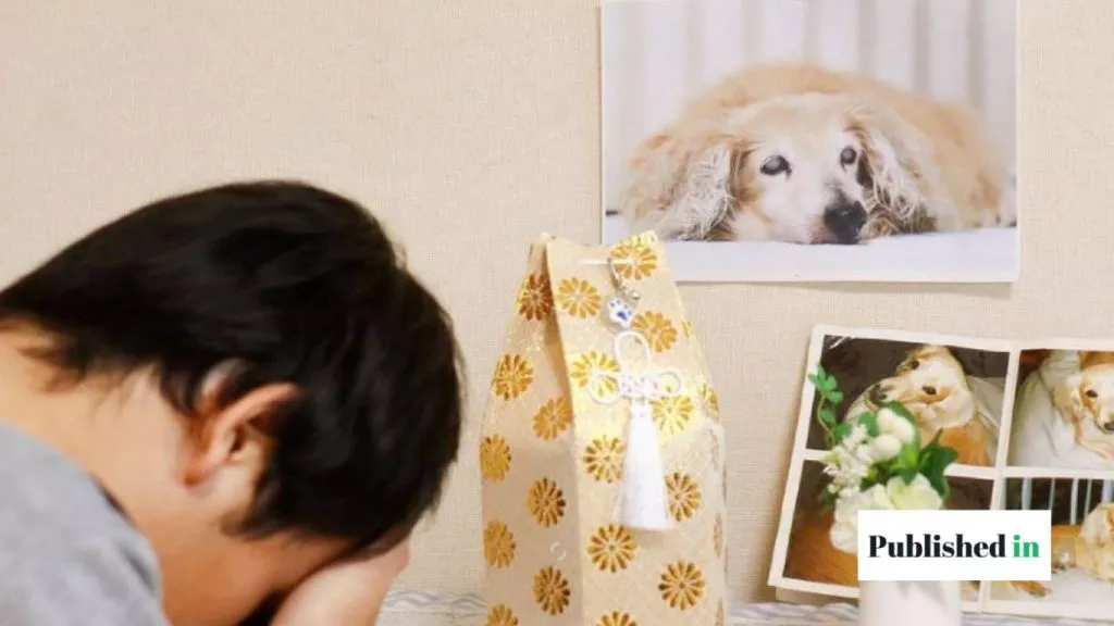 Things Your Deceased Pet Wants You to Know