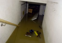 "Battling the Abyss: A Definitive Guide to Safely and Swiftly Clean Up Raw Sewage in Your Basement"