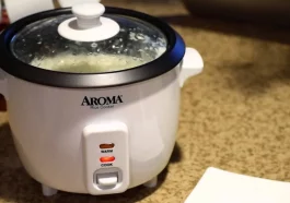 Mastering Your Kitchen with the Aroma Rice Cooker