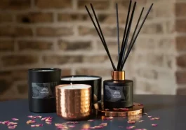 A Comprehensive Guide on How to Use Reed Diffusers